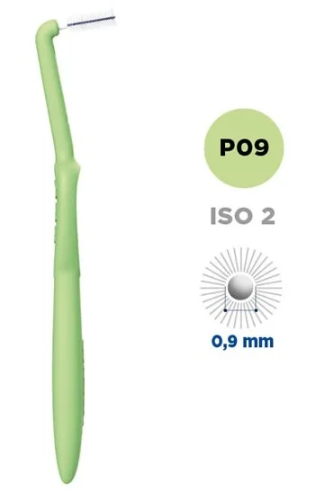 CURASEPT PROXI P09