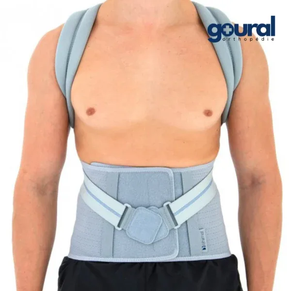 ADAPTE COREST DORSO LOMBAIRE L